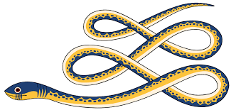 5 Day intense Horse Jugorum 